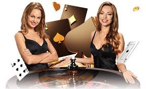 5hhh1 bet 5hhh1 bet